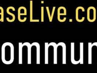 Cougar Charlee Chase And Milf Alexis Golden Share Cheating Hubby