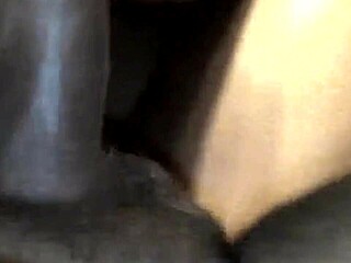 chocolate spinner eating big black cock for dinner