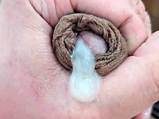 Voce gostaria de mamar o meu penis