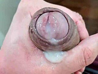 Voce gostaria de mamar o meu penis