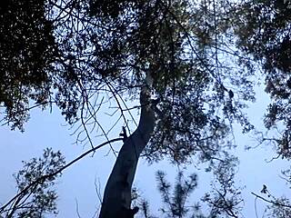 Gay Twink Sucks Mexican Cock And Gets Fucked!