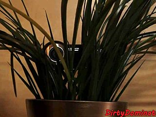 Petite European femdom indulges in solo play with wet toy