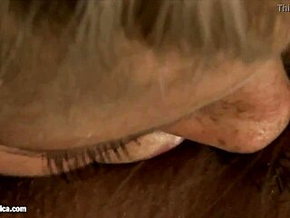 secret sensual lesbian rendezvous with fingering and cunilingus by sapphix