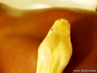 garden of eden seduction