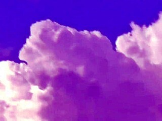 sexy colombian amateur gets wild rimming from hungry chacal