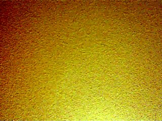 Mexican Amateur Bent Over in Doggystyle Position for Intense Fucking