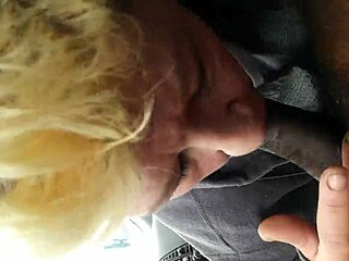 Swallow Black Nut Challenge