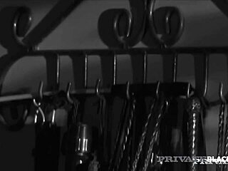 sasha grey gets dark dicked hard in dungeon scene