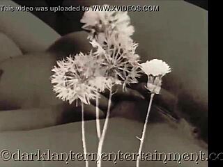 He Exclaims, 'Read My Erotic Confessions of Victorian Sex Adventures!'