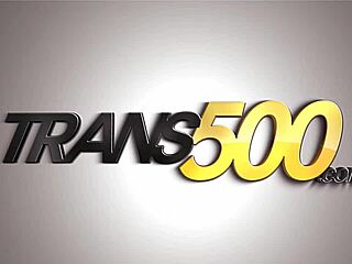 Pretty transsexual enjoys rough anal pounding with oral