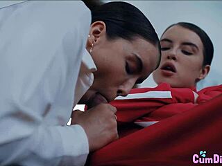 Massive Tranny Cock Compilation in Stunning 4K!