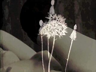 Is This Vintage Bisexual Threesome from My Secret Life?