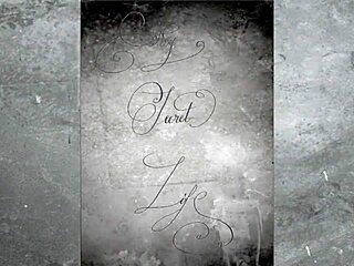 Two Centuries Of Vintage Pornography