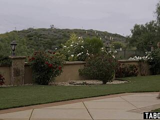 Angry Wife Hunts Male Stripper After Dance for Husband with Ripped Clothes