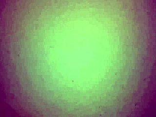 Can You Handle This Latina Milf's Huge Ass and Tits Spreading?