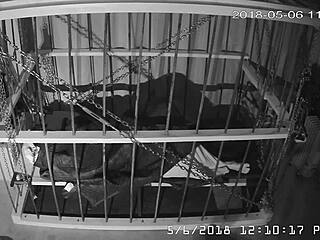 笼子摄像头直直播 未剪辑笼内狂欢