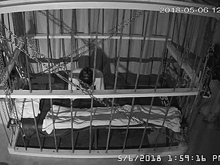 the cagecam is a non-edited downloaded feed from the cage