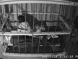 笼子摄像头直直播 未剪辑笼内狂欢