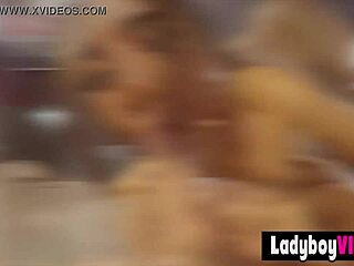 Wow! Cute Asian Teen Ladyboy Gets Pigtails Pulled for BJ!