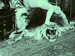 is this vintage cartoon hentai worth watching?