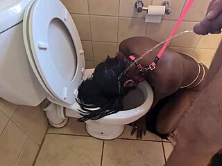 Hey whore, ready for piss and head flush before sucking?