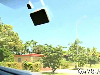 Homosexual Sex Manhub!