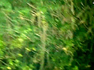 Cracky, the milf pornstar, forgets objects in her shaved pussy during public fun with friends