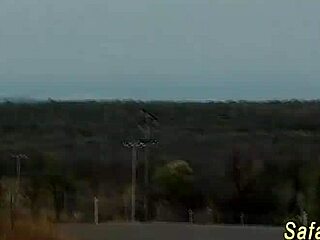 Personal-Neutral Wild African Jeep Safari with Deep Group Action on Adventure