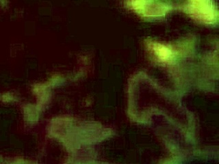 Fap Nights At Frennis History Mode Night 1 0 1 1