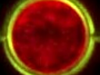 Sakura Shinobi Dances Seductively Outdoors