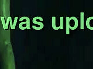 harley quinn in animated adventure series