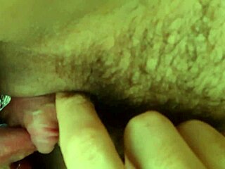 i gave my dog a nice hose bath on a hot day and she got all wet