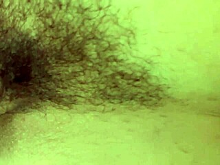 i gave my dog a nice hose bath on a hot day and she got all wet