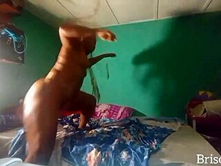 Chubby Ella Bent Over for Assfucking and Anal