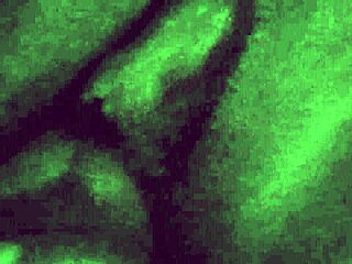 Trailer - Fan CUMMED in Paty Angel's Pussy Bare!