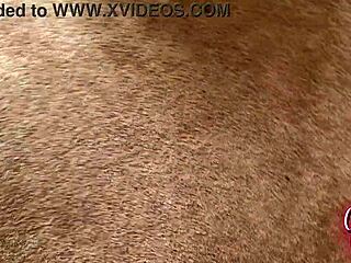 Stepmom with blue eyes and fake tits riding, getting facial from not son