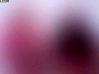 I Want It All Money to Me