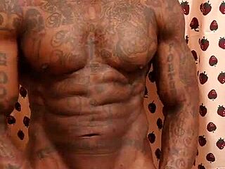 Worship this big black hairy dick, hallelujah johnson and anarchy.