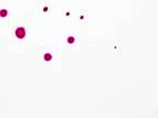 Perfect Redhead Teen 18+ with Tan Lines Gets Fucked Hard by Lucky Guy Stella Luxx