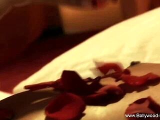 Erotic belly dance by stunning brunette sparks wild desire