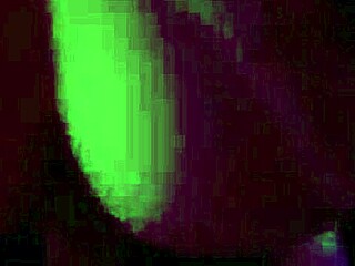 Neva - The D3ad Rac3r Official Music Video