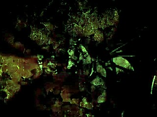 Vintage erotic drawings collection