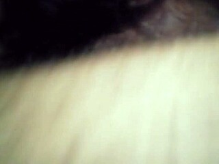 Vintage Blue Film Sucking Blowjob Retro Scenes