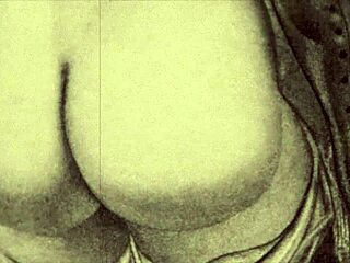 Vintage Erotic Cartoon Drawings