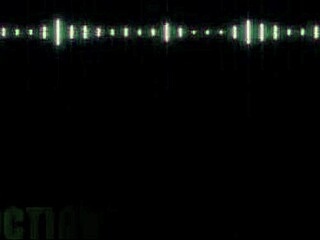 Black-TGirls return after one year.