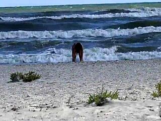 Man, wanna join us for wild public sex on the beach?