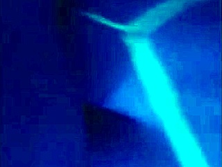 I can't get enough of these sexy Latin American shemales working the streets and turning me on with every move.