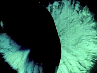 Vintage Victorian homosexuals engage in bold erotic encounters from the past