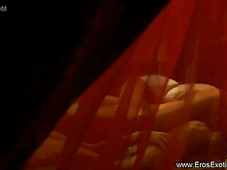 Exotic Asian Brunette Lover Explores New Oral And Anal Sex Techniques