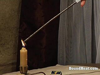 Alexis crystal in cosplay, want to see her with butt plug?